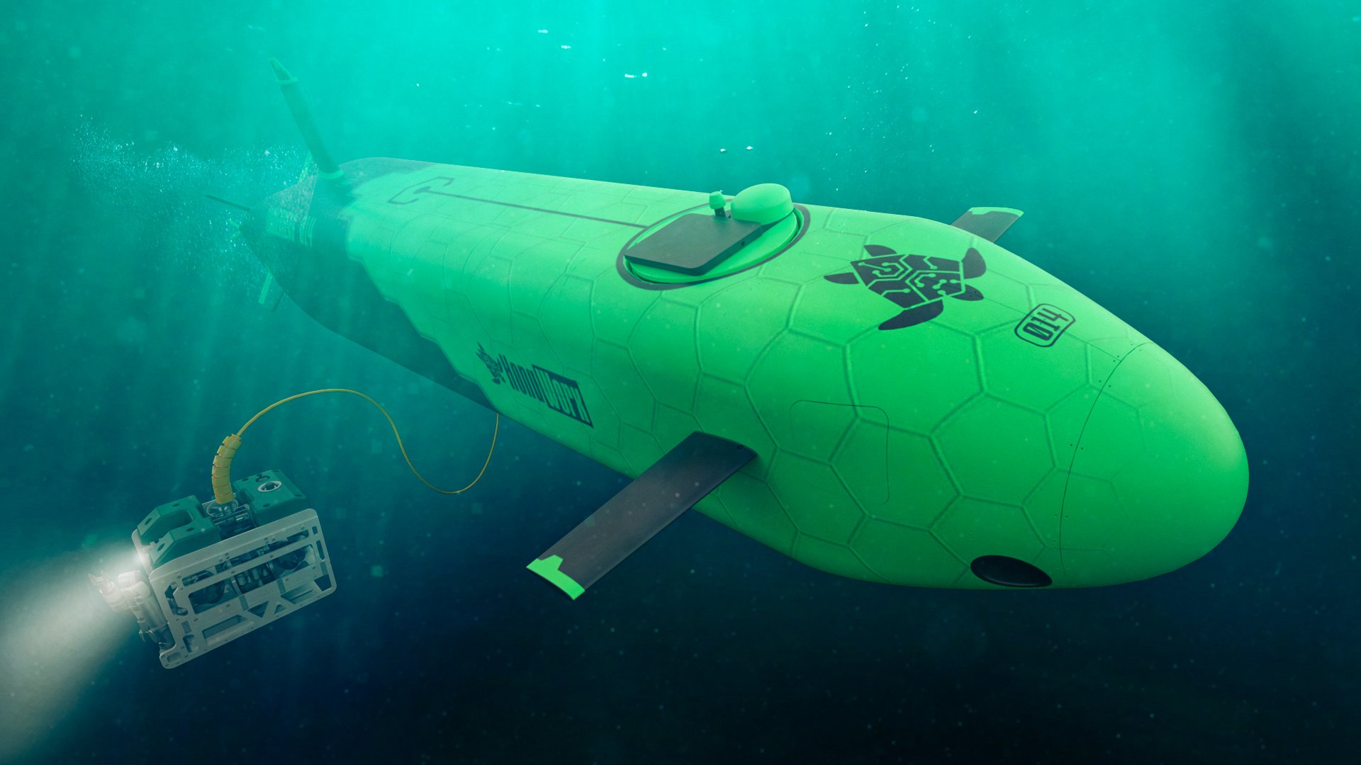 Loggerhead 2025 Hero Image_noLogo